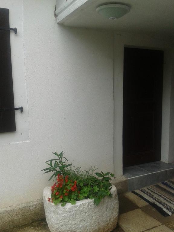 Apartment Kalikut 贝利 客房 照片